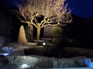uma árvore num jardim à noite com luzes em Natural open-air hot spring Chizu - Vacation STAY 16412v em Takamatsu