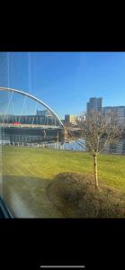 a tree in a field with a bridge in the background at Glasgow SECC Hydro River View in Glasgow