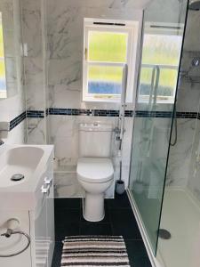a bathroom with a toilet and a shower and a sink at The Annexe at Walnut Tree Cottage in Hope under Dinmore