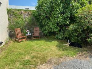 um gato deitado na relva ao lado de duas cadeiras e uma mesa em The Cottage em Exeter