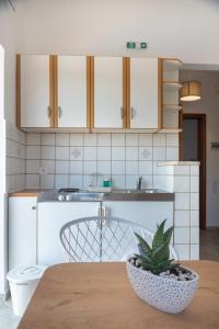 a kitchen with a table with a plant in a bowl at Villa Rodanthi Sivota in Syvota