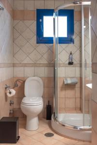 a bathroom with a toilet and a shower at Villa Rodanthi Sivota in Syvota