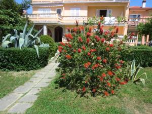 Zahrada ubytování Guest House Sandra