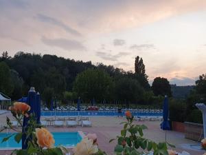 Elle offre une vue sur la piscine bordée de chaises et de parasols. dans l'établissement Oasi del Monferrato - appartamento rosso, à Mombercelli