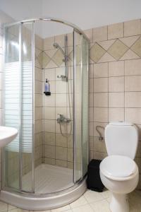 a bathroom with a shower and a toilet at Villa Rodanthi Sivota in Syvota
