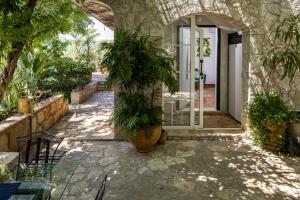 a large plant in a pot in front of a door at Mai's Cottage in Stari Grad