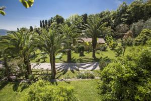 Zahrada ubytování Hotel Livia