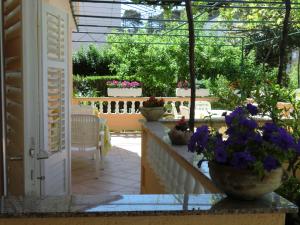 Zahrada ubytování Guest House Sandra