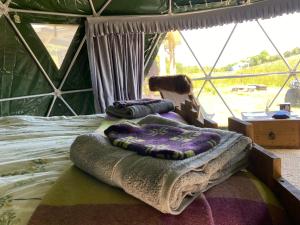 Geodesic Dome Glamping في لانيدلوز: غرفة نوم بسريرين في خيمة