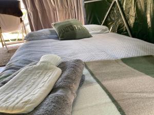 a bed with two pillows on it in a room at Geodesic Dome Glamping in Llanidloes