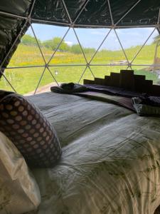 a bed in a tent with a view of a field at Geodesic Dome Glamping in Llanidloes