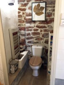 a bathroom with a toilet and a stone wall at Le Mas du figuier, Maison de vacances in Le Bousquet-dʼOrb +17 photos