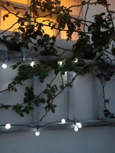 a plant with lights hanging from a wall at Rosso di Sera Loft in Menfi