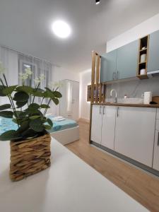 une cuisine avec des placards blancs et une table avec une plante dans l'établissement HARMONY Suites (Savska ulica), à Sajmište