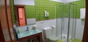a green tiled bathroom with a toilet and a shower at Entre Las Catedrales Campo y Mar 1 y 2 in Lourenzá +15 photos