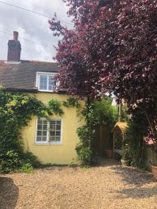 Una casa amarilla con un árbol delante. en Sunrise Studio en Colchester