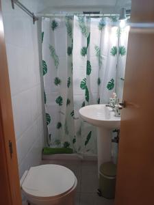 a bathroom with a shower curtain with a toilet and a sink at Apartamento Grande Subida San Diego Centro Ciudad in Cartagena