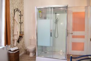 a bathroom with a glass shower with a toilet at Domaine de l'Hyères in Grandcourt +14 photos