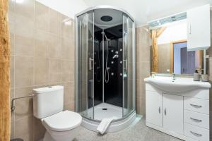 a bathroom with a shower and a toilet and a sink at Penzion LAGUNA in Přimda