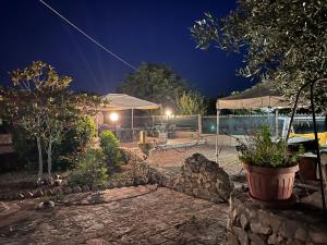A garden outside Case vacanza e camere in Villa Isabella con parcheggio custodito e wifi