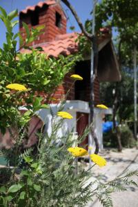 Gallery image of Blue Sky Trogir in Plano