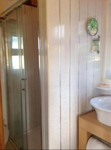 ein Bad mit einer Glasdusche und einem Waschbecken in der Unterkunft Angies Den - quirky cabin with hot tub & views in Llanasa