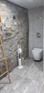a bathroom with a toilet and a stone wall at Κτήμα Μύλος (Κτήμα στη Φύση) in Agrinio +30 photos