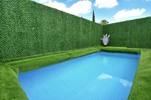 Levication 2 bedrooms Pool&jacuzzi في طبرية: مسبح أمام تحوط أخضر
