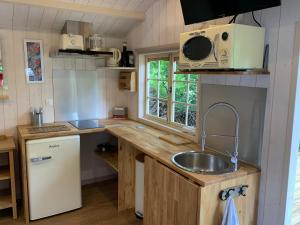 uma pequena cozinha com um lavatório e um micro-ondas em Chalet cosy bord de Seine 30min paris em Carrières-sous-Poissy