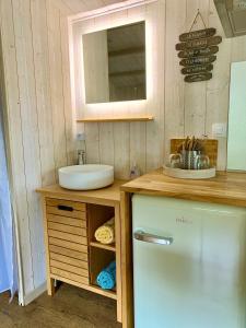 a bathroom with a sink and a vanity with a mirror at Chalet cosy bord de Seine 30min paris in Carrières-sous-Poissy