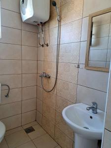 uma casa de banho com um chuveiro e um lavatório. em Apartman Hana em Donji Štoj