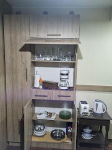 a small kitchen with wooden cabinets and appliances at Cėntrico PARQUE CÍVICO in Mendoza