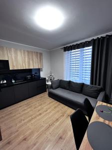 ein Wohnzimmer mit Sofa und Tisch in der Unterkunft Apartament Walczaka 47 MIEJSCE PARKINGOWE in Gorzów Wielkopolski