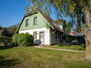 a green and white house with a tree at Ferienhaussiedlung Strandperlen Buchenhof 2d (Typ I) in Wustrow