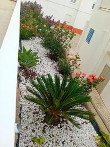 Foto dalla galleria di Burgau Mar a Burgau