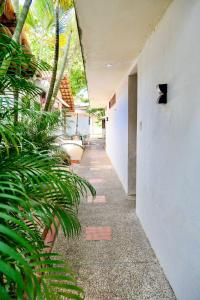 an empty hallway of a house with plants at San José HOUSE in Leticia