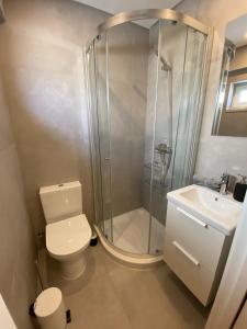 een badkamer met een douche, een toilet en een wastafel bij Carcavelos Beach Walking distance room in Oeiras