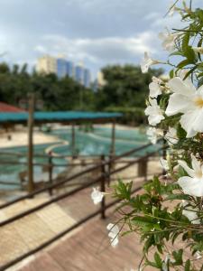 a fence with white flowers in front of a pool at Apartamento Thermas in Caldas Novas