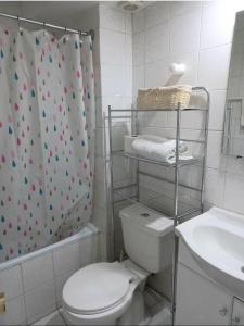 W łazience znajduje się toaleta, umywalka i prysznic. w obiekcie Nevados de chillan , edificio los coigues w mieście Nevados de Chillan