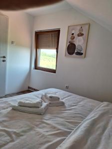 Katil atau katil-katil dalam bilik di Apartmani Milosavljević