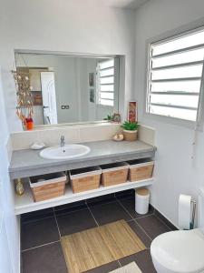 ein Bad mit einem Waschbecken und einem Spiegel in der Unterkunft Wave Coconut Villa in Le Moule