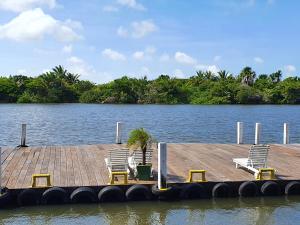 twee stoelen en een palmboom op een steiger op het water bij Gran Lençóis Flat Residen in Barreirinhas