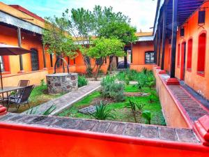 einen Garten im Innenhof eines Gebäudes in der Unterkunft Loft céntrico con diseño único in Municipio Tulancingo de Bravo