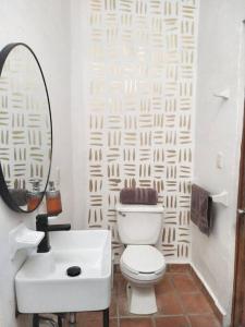 ein Badezimmer mit einem WC, einem Waschbecken und einem Spiegel in der Unterkunft Loft céntrico con diseño único in Municipio Tulancingo de Bravo