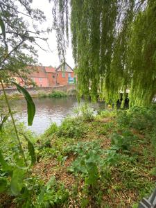 a body of water with trees and a river at Apt 5a Central by river 1 Bed Apartment in Norwich