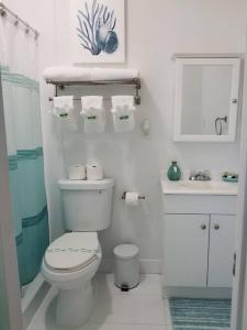 a white bathroom with a toilet and a sink at My Nautical Paradise in Miami in Miami