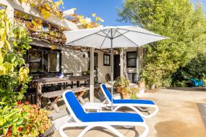 two chairs and an umbrella on a patio at Village Apartment Havelock North in Havelock North