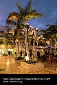 a building with palm trees with christmas lights at Sol Miami # 2 with free parking in Miami