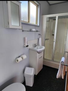 a bathroom with a toilet and a sink and a shower at Strahan Beach Tourist Park in Strahan