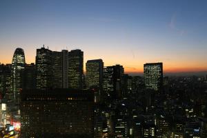 a view of a city skyline at sunset at Hotel Gracery Shinjuku in Tokyo